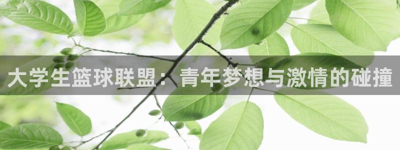 意昂2意昂2平台:大学生篮球联盟:青年梦想与激情的碰撞