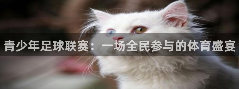 意昂2登录入口:青少年足球联赛:一场全民参与的体育盛宴