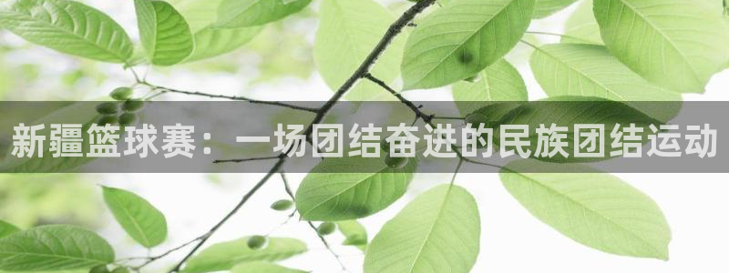 意昂2体育:新疆篮球赛:一场团结奋进的民族团结运动